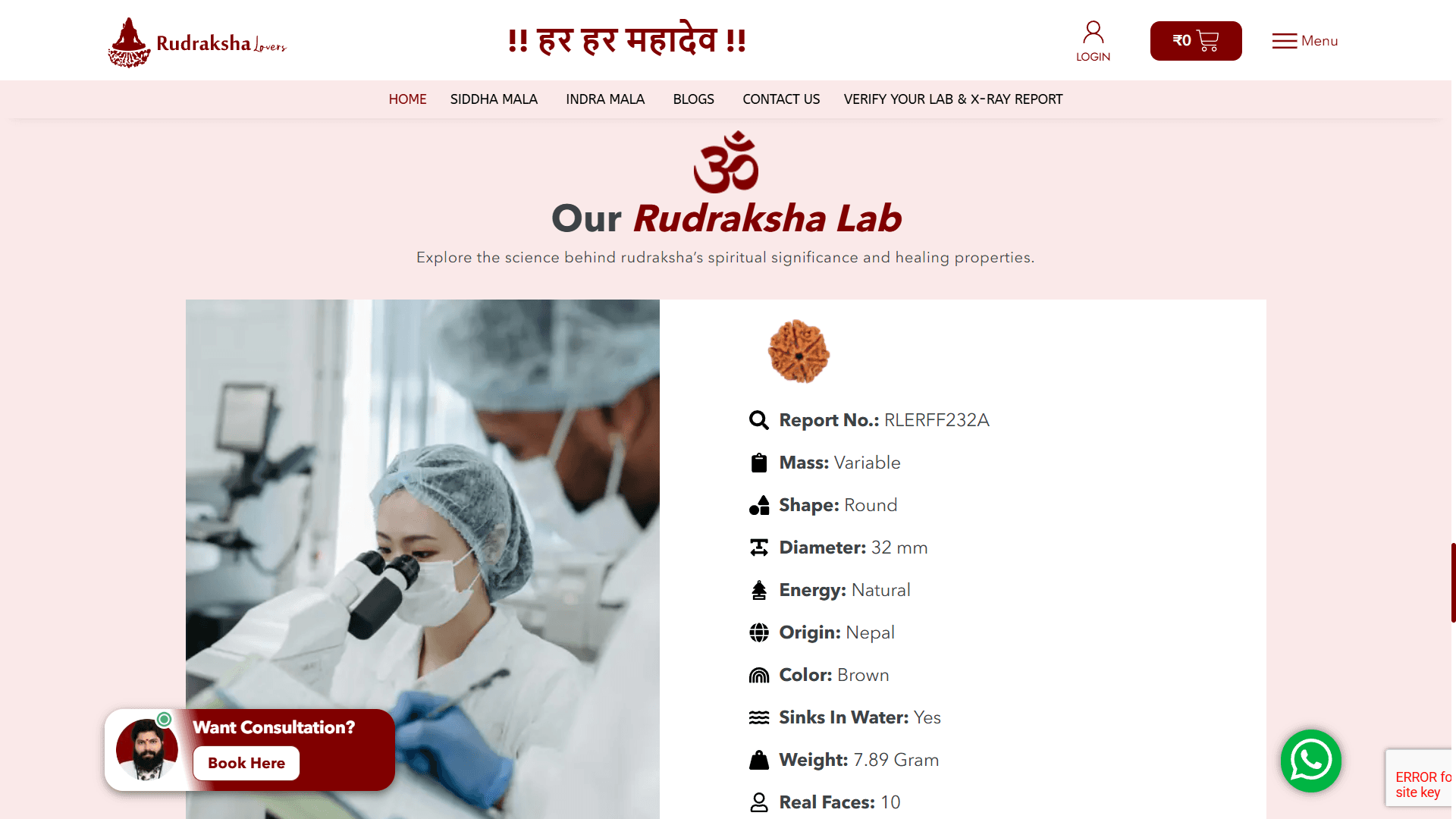 Rudraksha Lovers 9