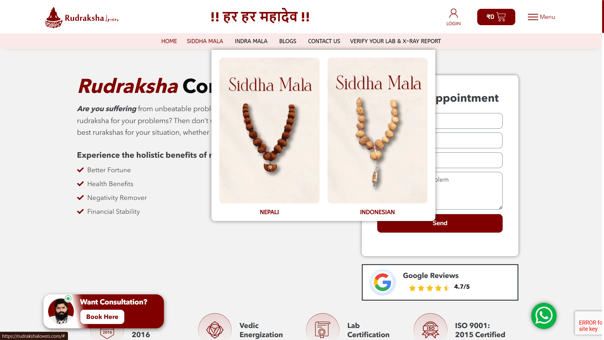 Rudraksha Lovers 12